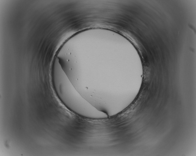 X0000098051048200804251059