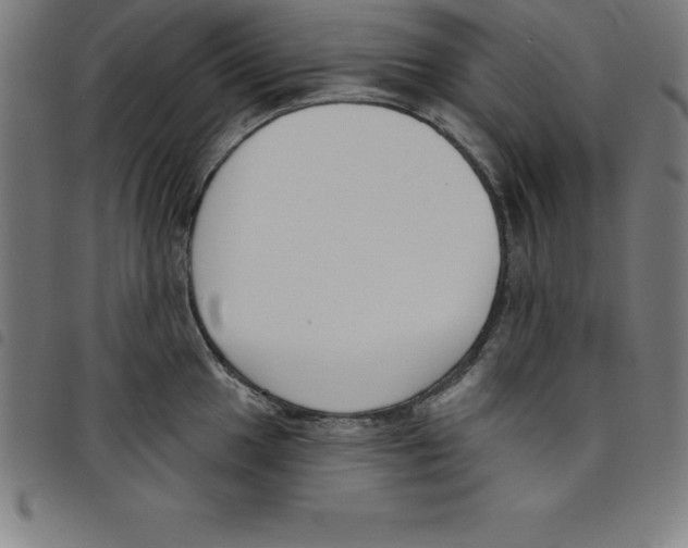 X0000098051049200804251059