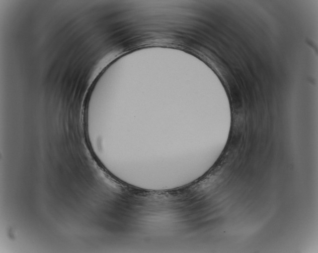 X0000098051050200804251059