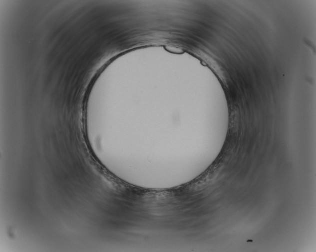 X0000098051051200804251059