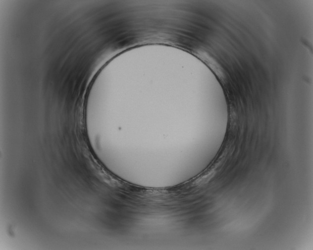 X0000098051052200804251059