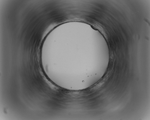 X0000098051054200804251059