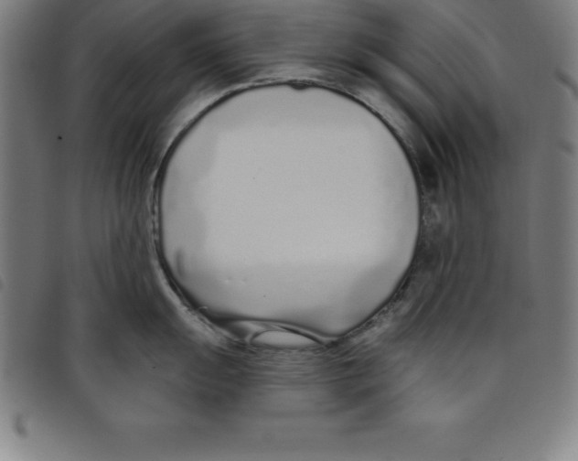 X0000098051055200804251059