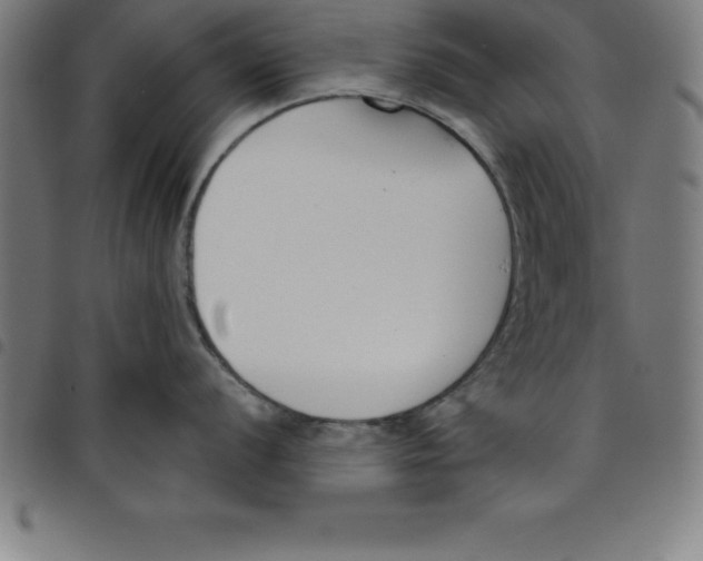 X0000098051056200804251059