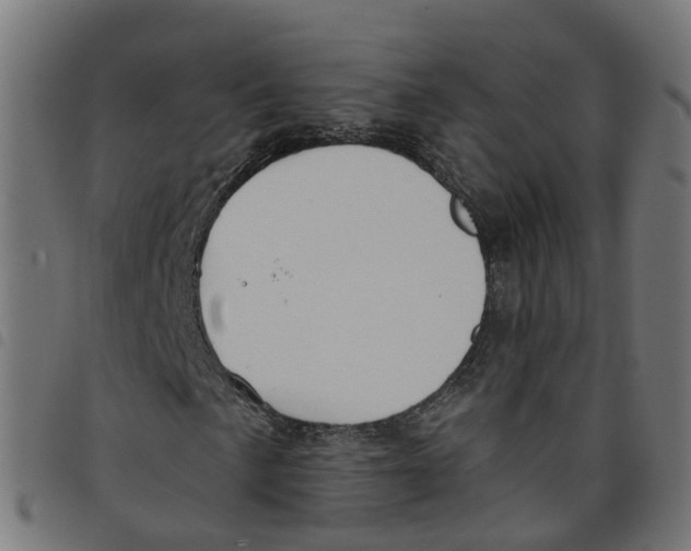 X0000098051057200804251058