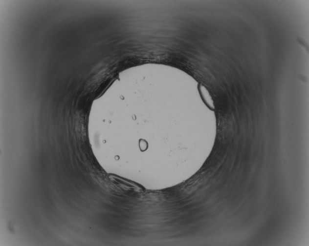 X0000098051058200804251058