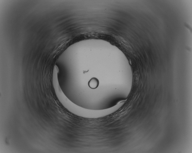 X0000098051060200804251058