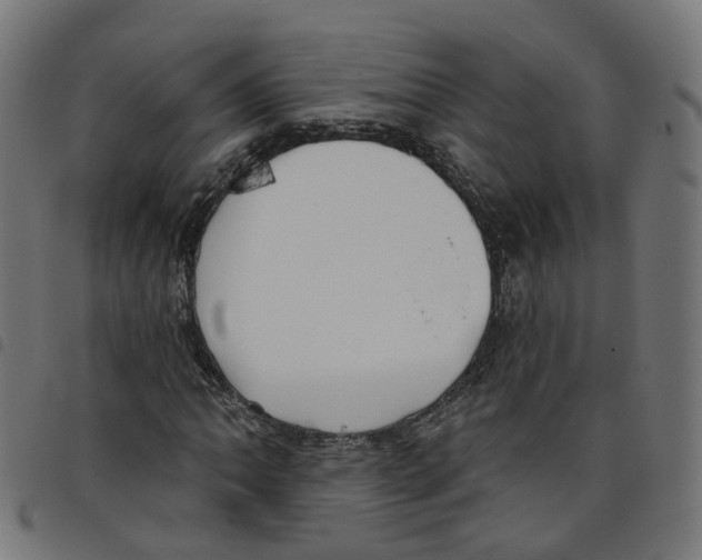 X0000098051062200804251058