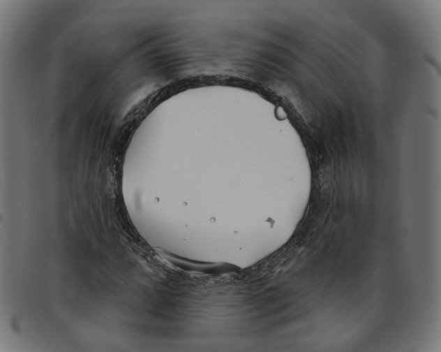 X0000098051064200804251058