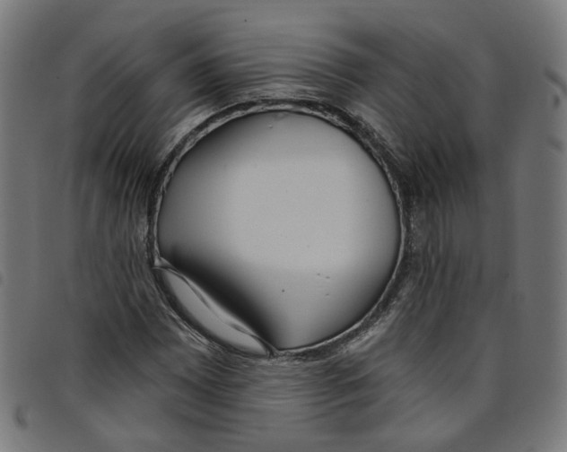 X0000098051065200804251058