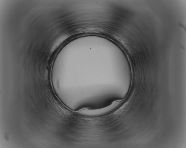 X0000098051066200804251058