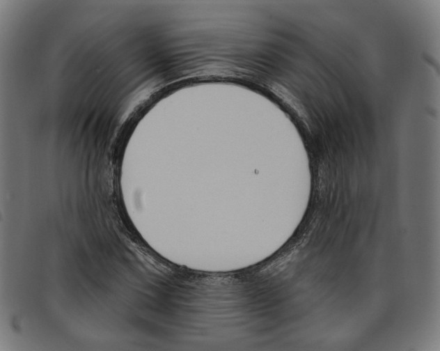 X0000098051067200804251058