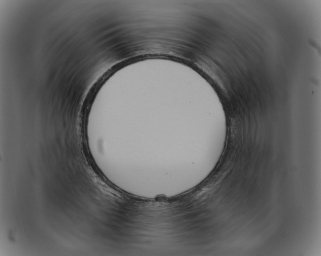 X0000098051068200804251058