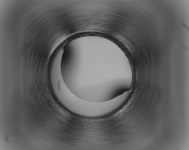 X0000098051069200804251058