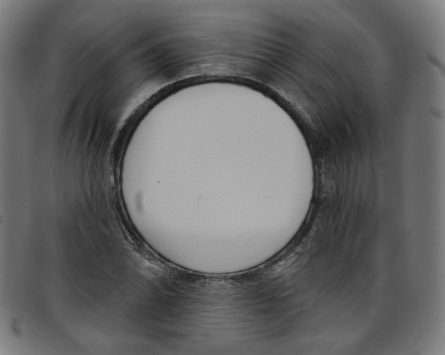 X0000098051070200804251058