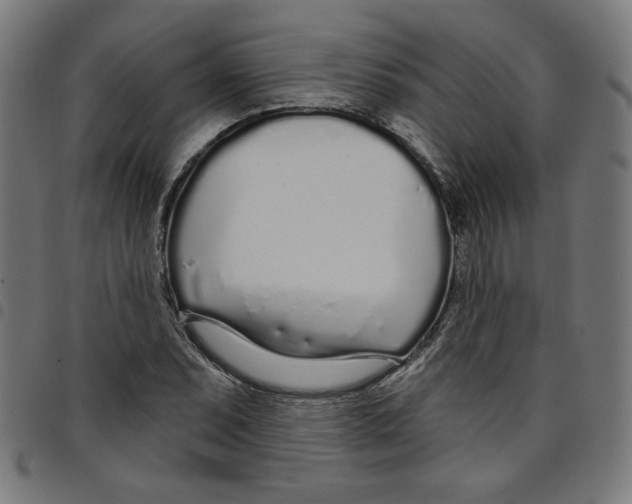 X0000098051071200804251058