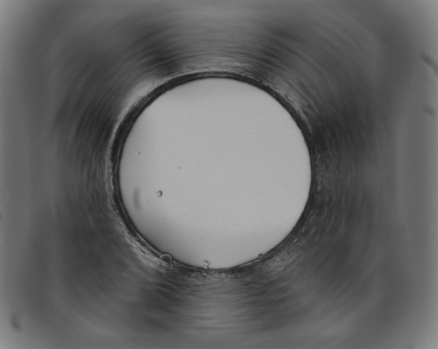 X0000098051072200804251058