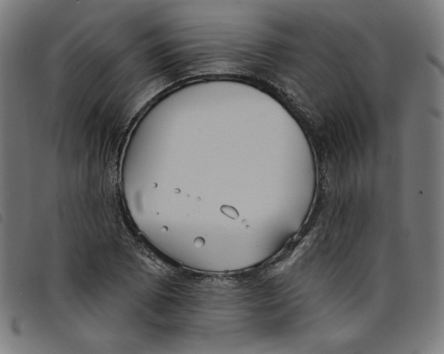 X0000098051073200804251058