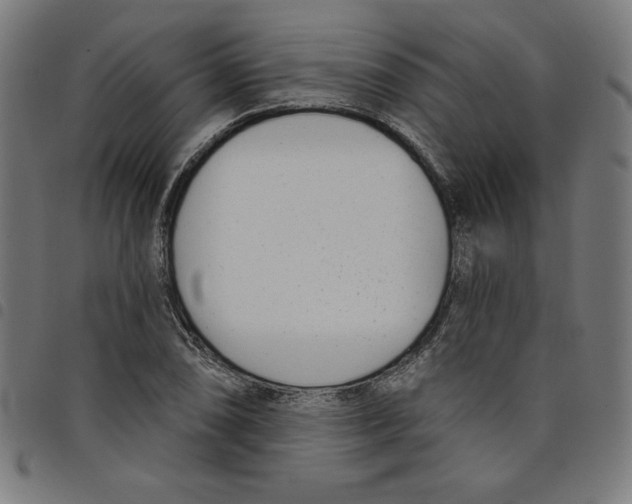 X0000098051074200804251058