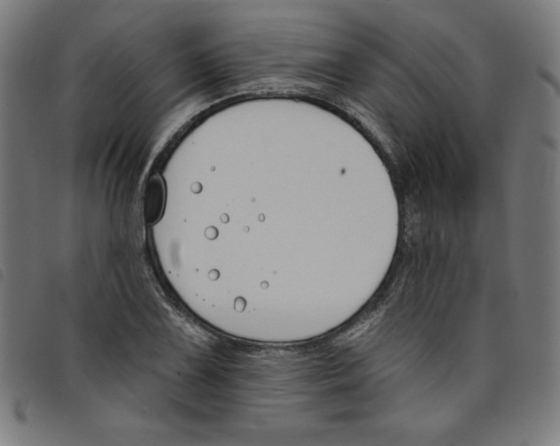 X0000098051075200804251058