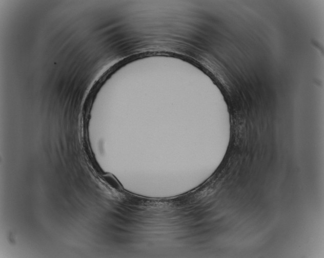 X0000098051076200804251058