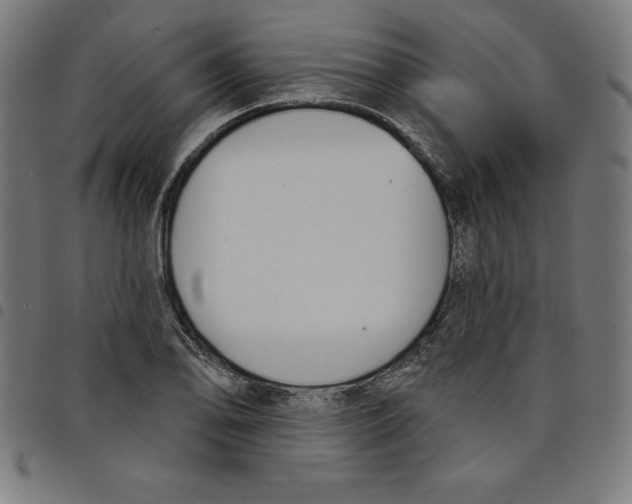 X0000098051078200804251058