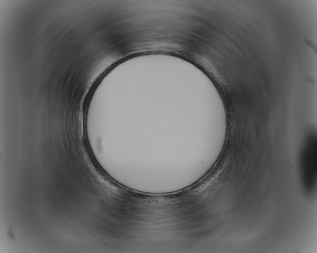 X0000098051079200804251058