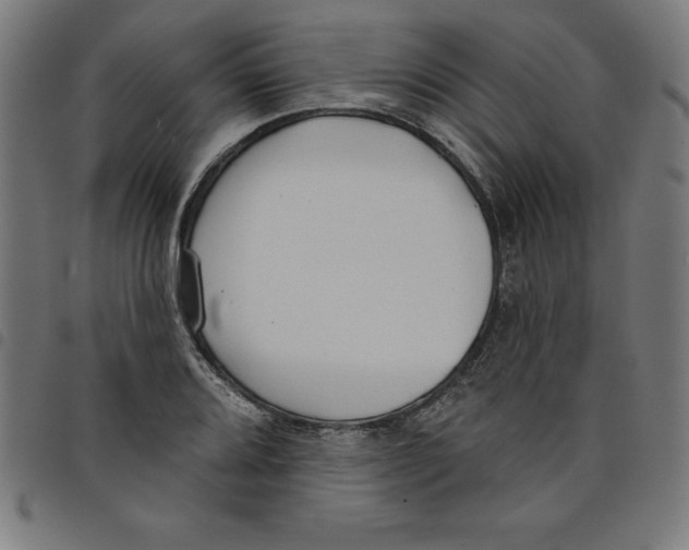 X0000098051080200804251058