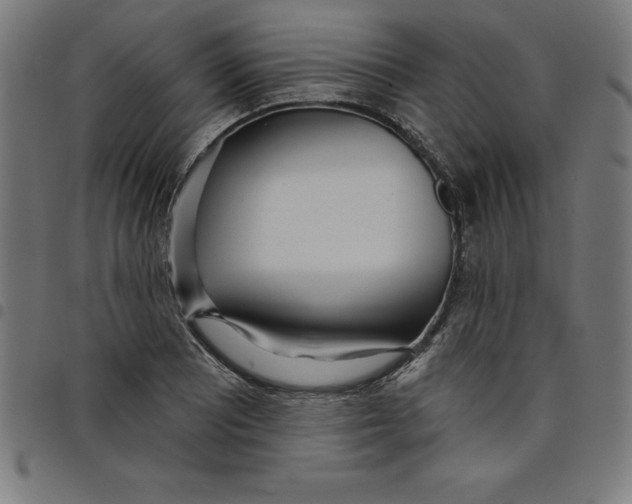 X0000098051081200804251058