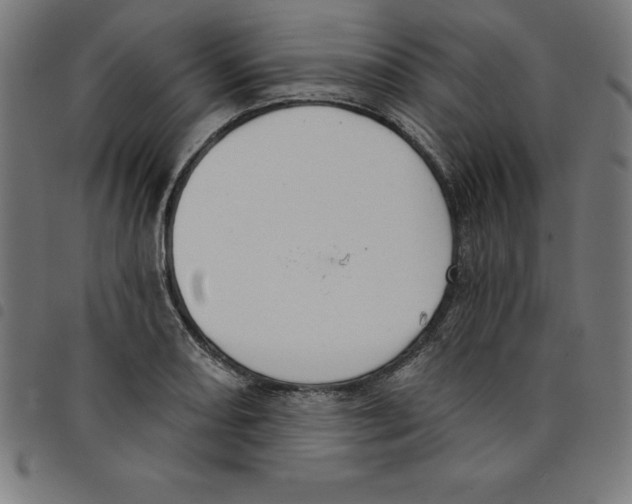 X0000098051082200804251058