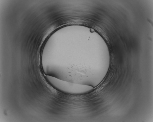 X0000098051083200804251058