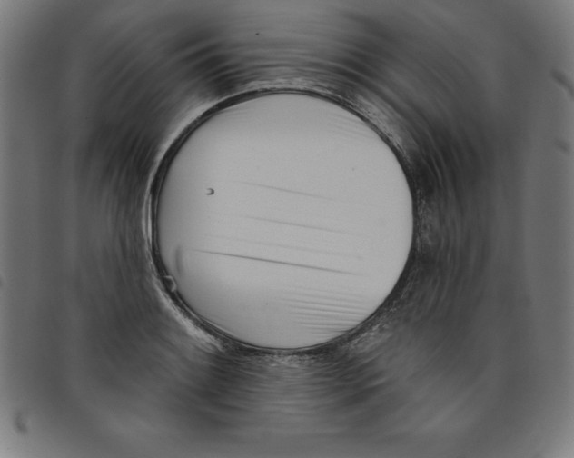 X0000098051084200804251058