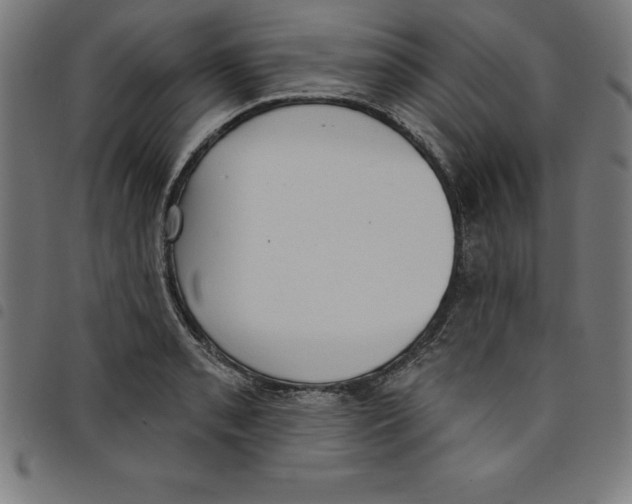 X0000098051085200804251058