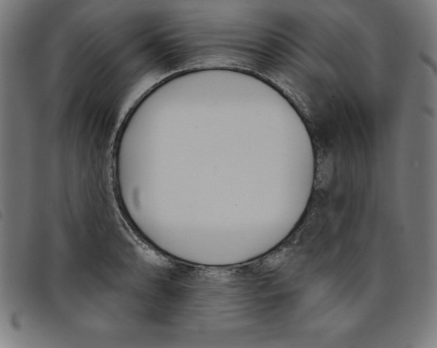 X0000098051086200804251058