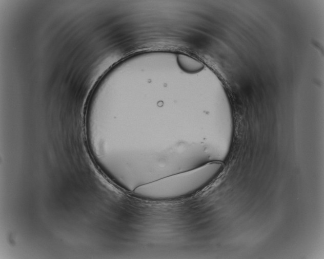 X0000098051087200804251058