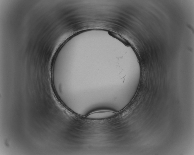 X0000098051088200804251058