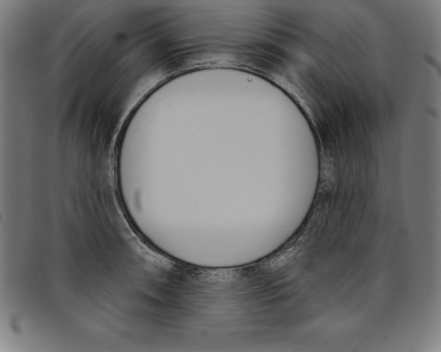 X0000098051090200804251058