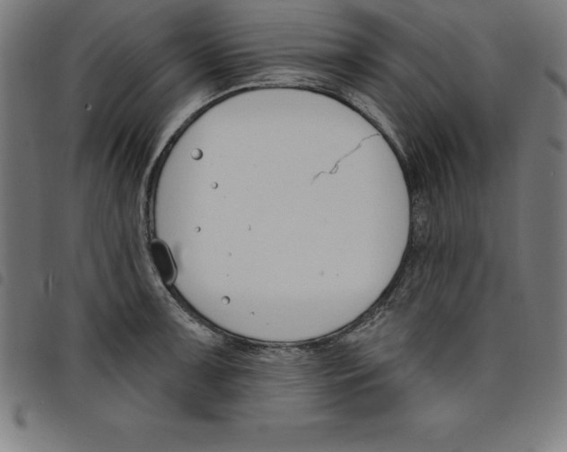 X0000098051091200804251058