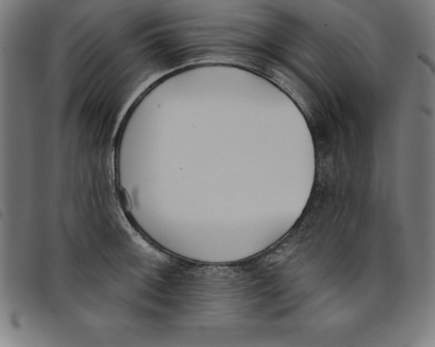 X0000098051092200804251058