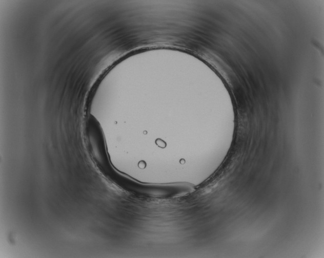 X0000098051093200804251058