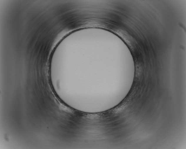 X0000098051094200804251058