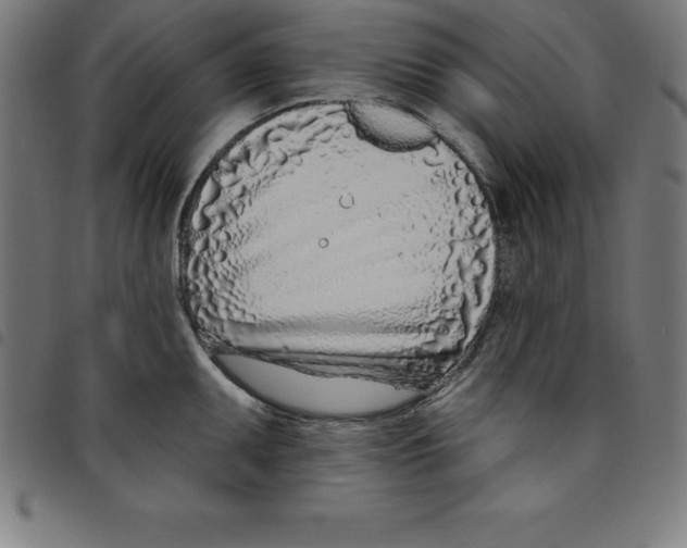 X0000098051095200804251058