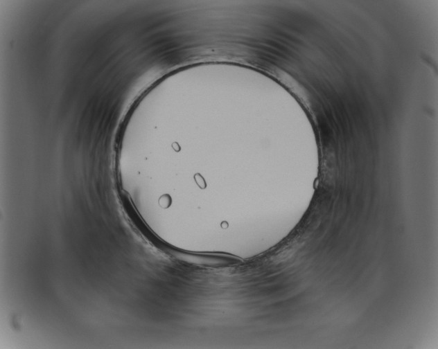 X0000098051096200804251058