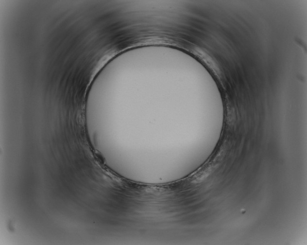 X0000098051097200804251058