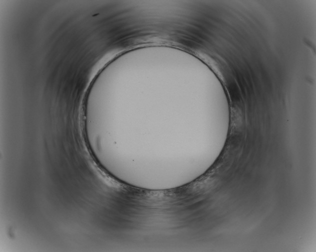 X0000098051098200804251058