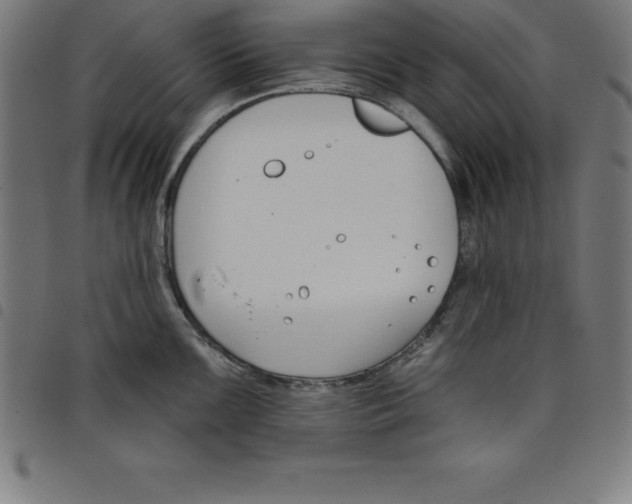 X0000098051099200804251058