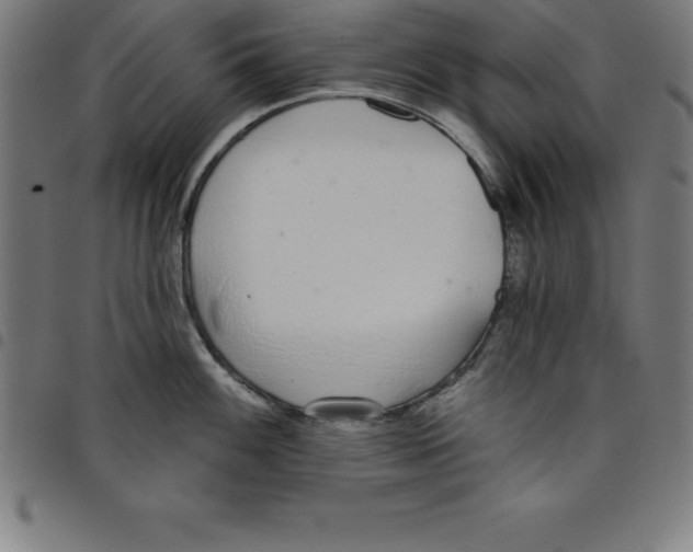 X0000098051100200804251058