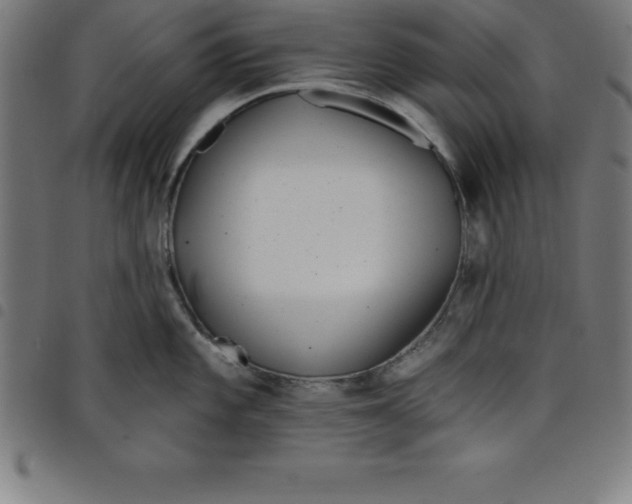 X0000098051101200804251058