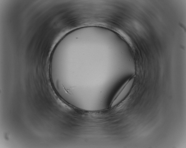 X0000098051102200804251058