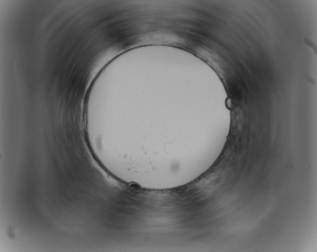 X0000098051103200804251058